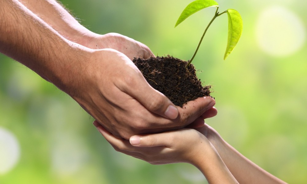 Environmental Responsibility