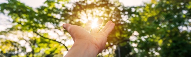 How Fuel Choices Impact Vehicle Safety and the Environment